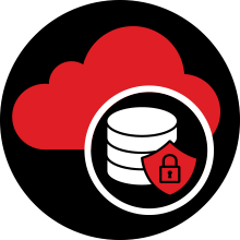 Hosted Cloud Backup solutions icon